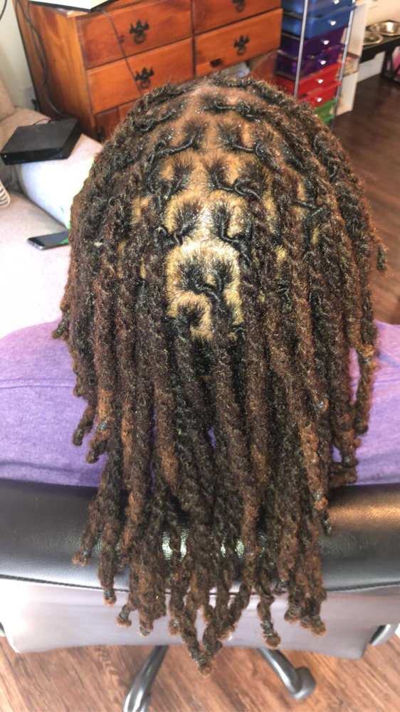 Loc Retwist & Style