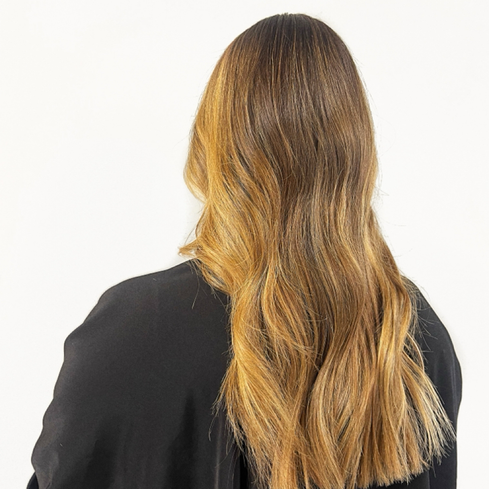 Partial Balayage, Gloss And Blowout at Terra Tier studio in Frisco, TX