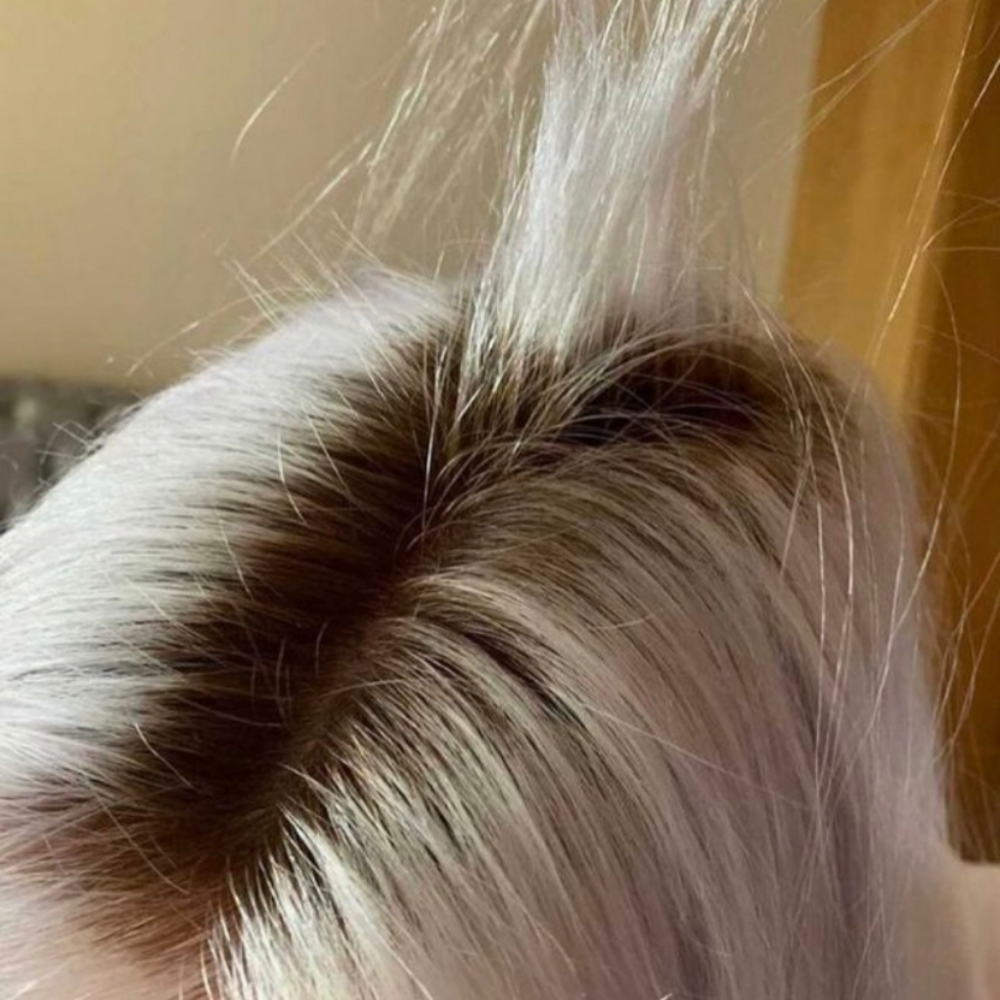 Bleach Touch Up at Sydney Nichole in Capitola, CA