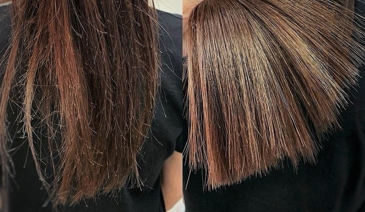 Trichology Haircut