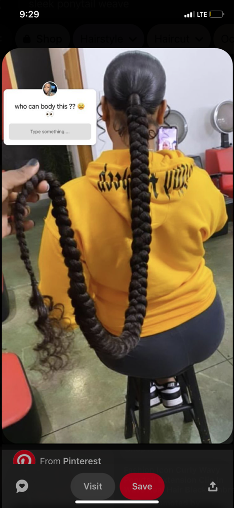 Sleek Braid Ponytail