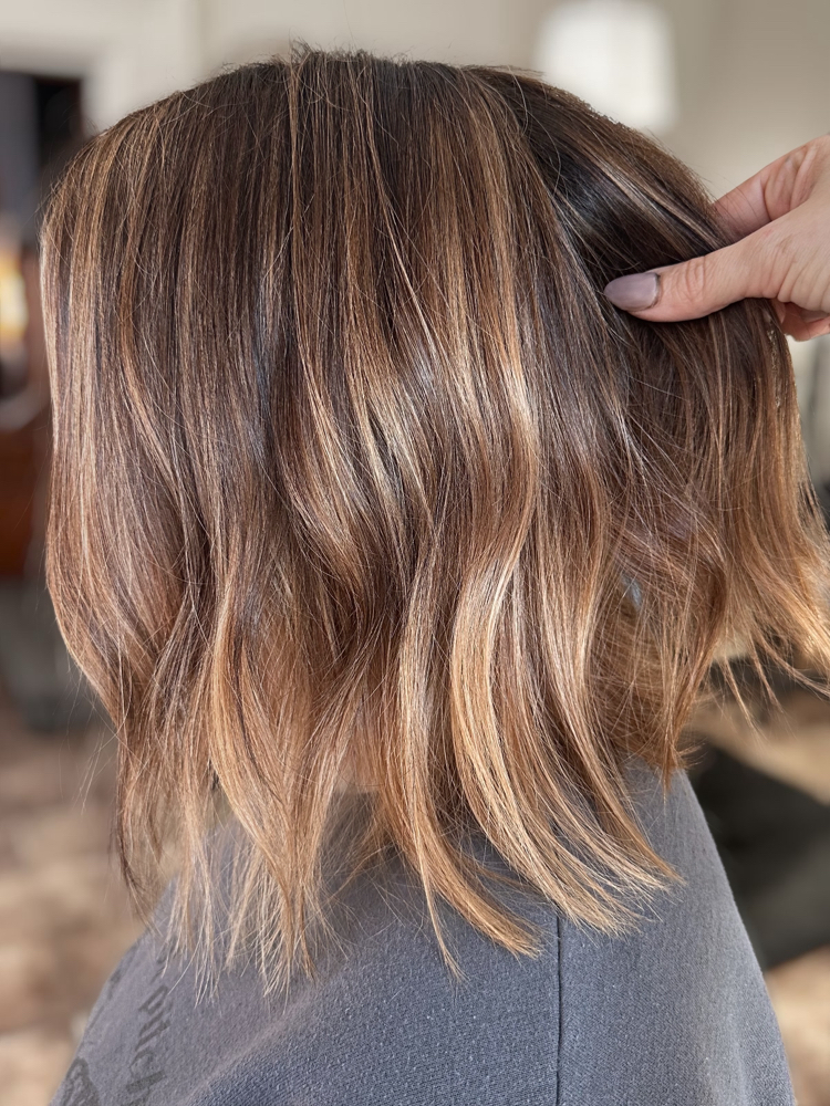 Root Touch-Up + Gloss