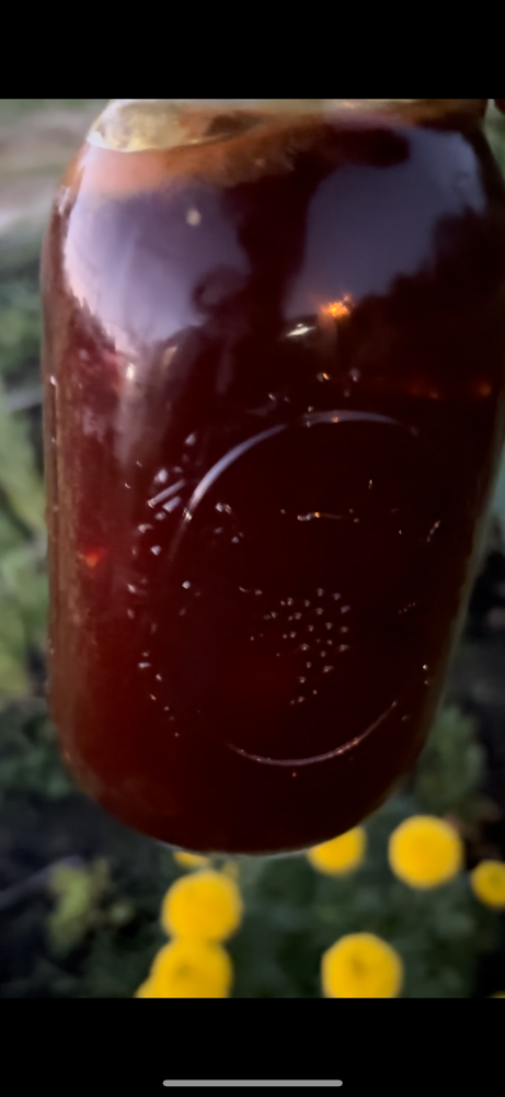 Body Regenerator Tincture