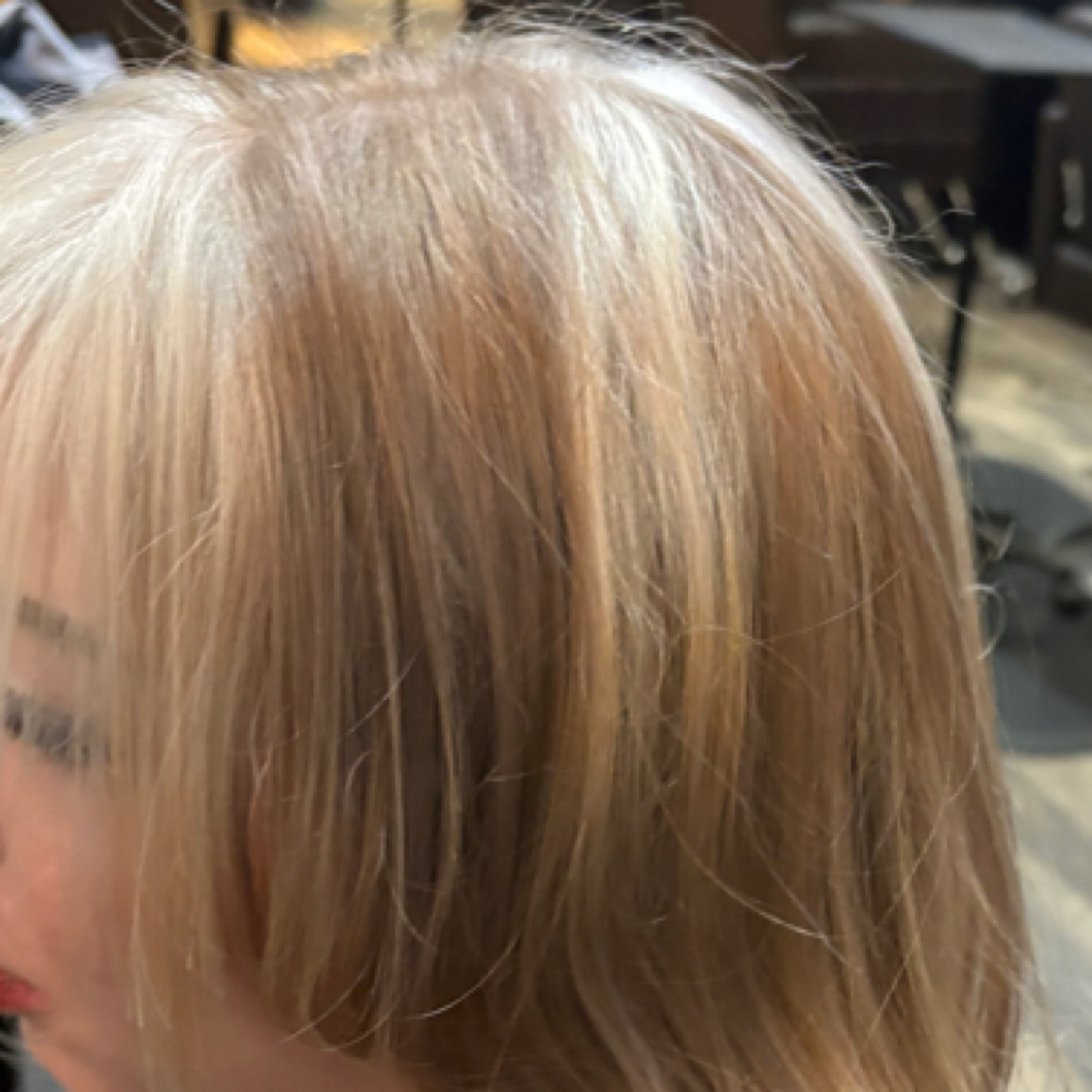 Color block hair color at The Em Effect in fort collins, CO