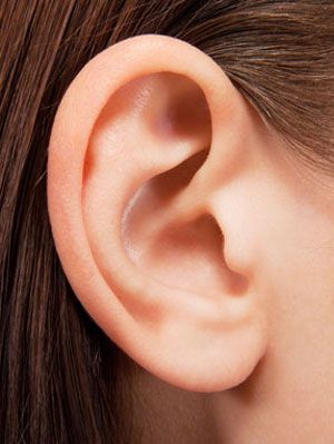 Ears