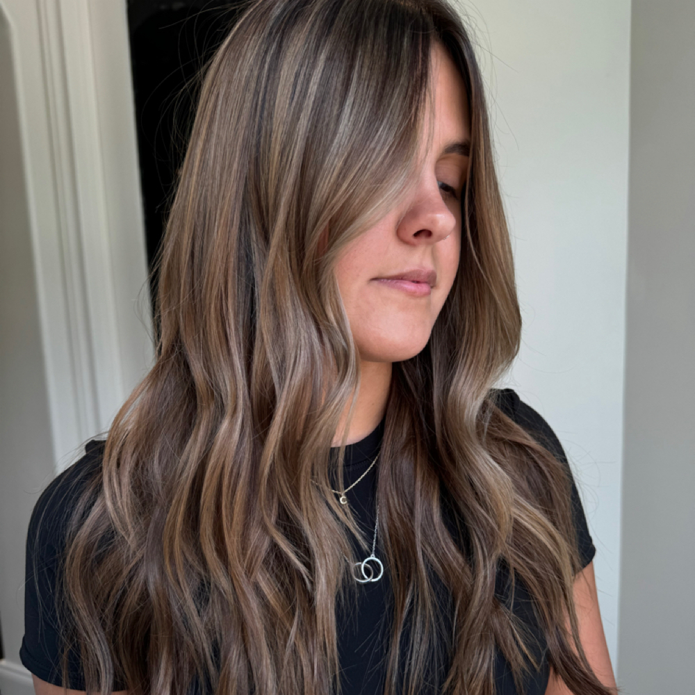 Lowlights at The Artistry Hair Studio in Sarasota, FL