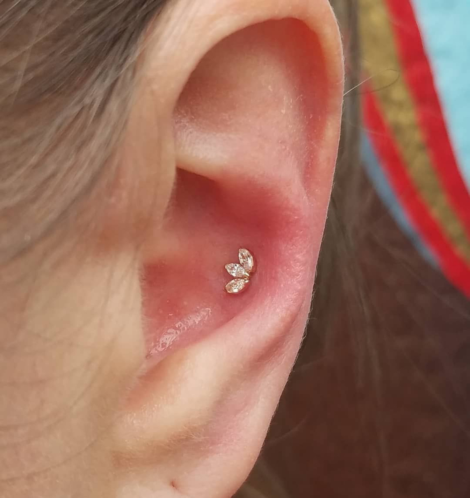 Conch Piercing