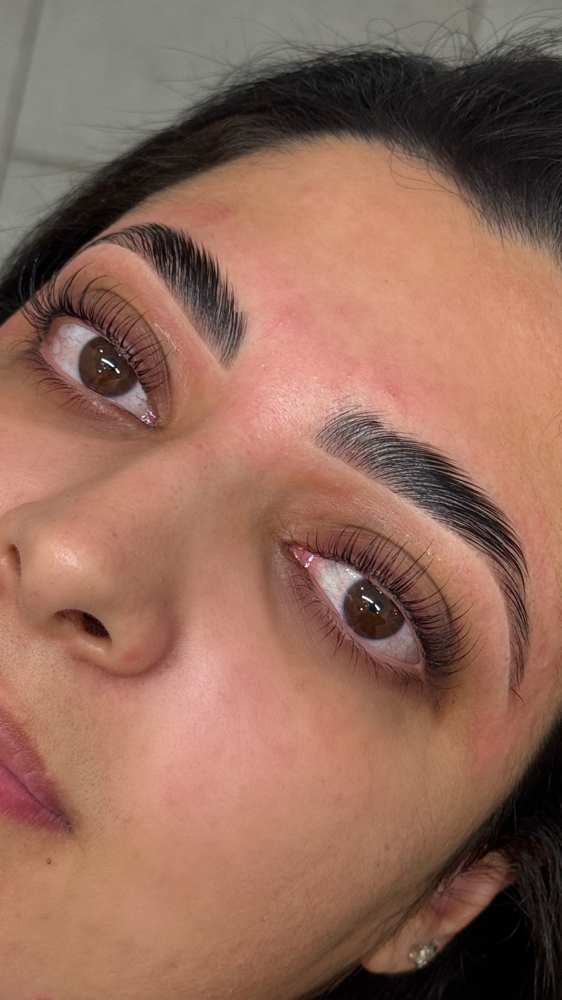 Korean Lash And Brow Lift Combo at Asia  Sallam Beauty in Amherst, NY