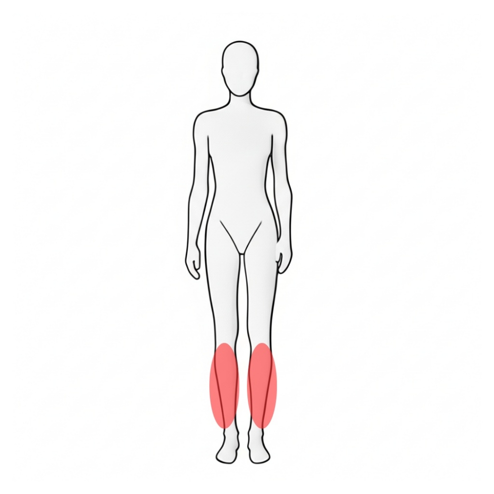 lower leg