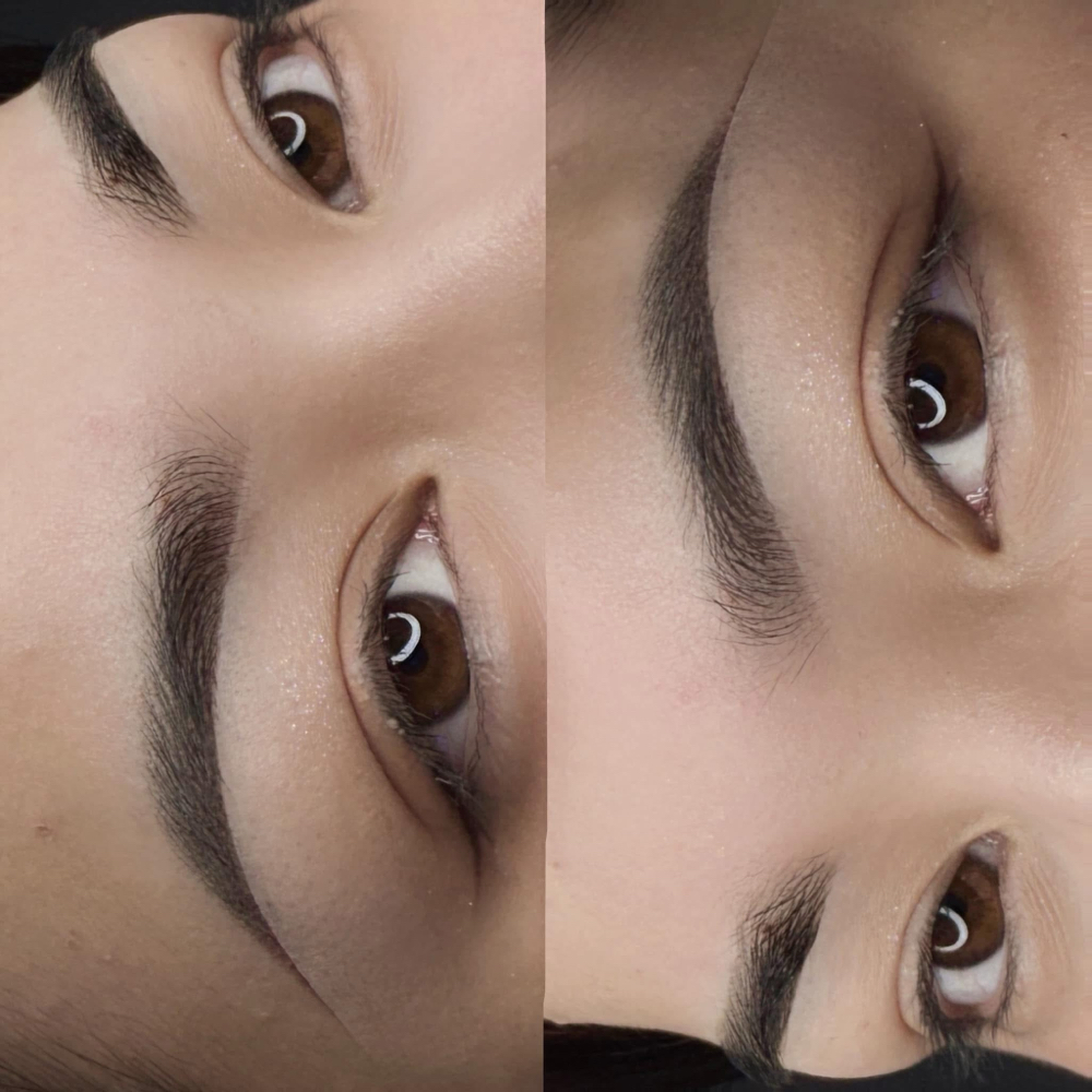 Eyebrows Touch Up After 6 Weeks at Mary Brows & Lashes in Campbell, CA