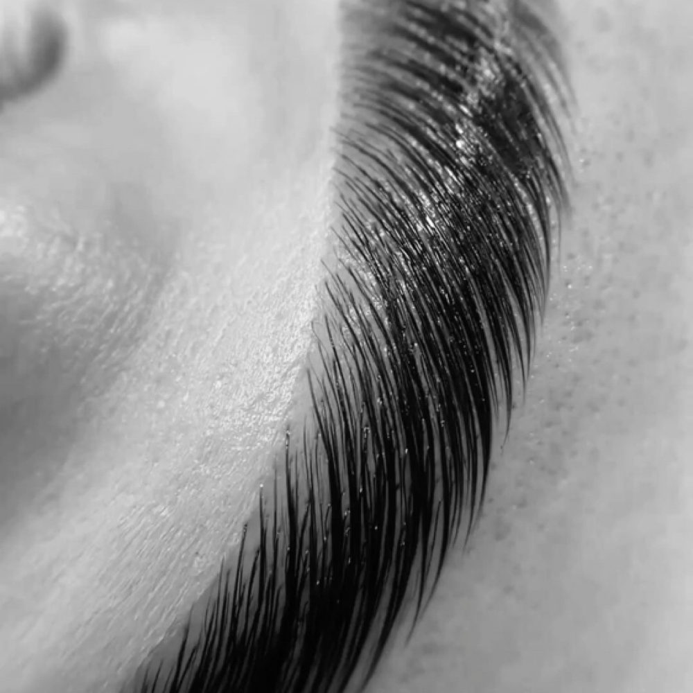 Brow Lamination & Henna at The Beauty Trap in La Mesa, CA