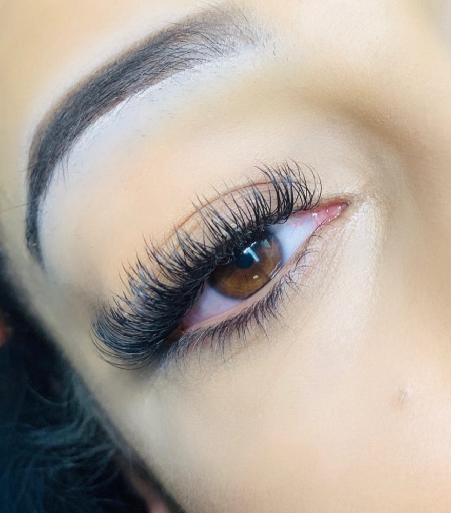 Classic Lashes