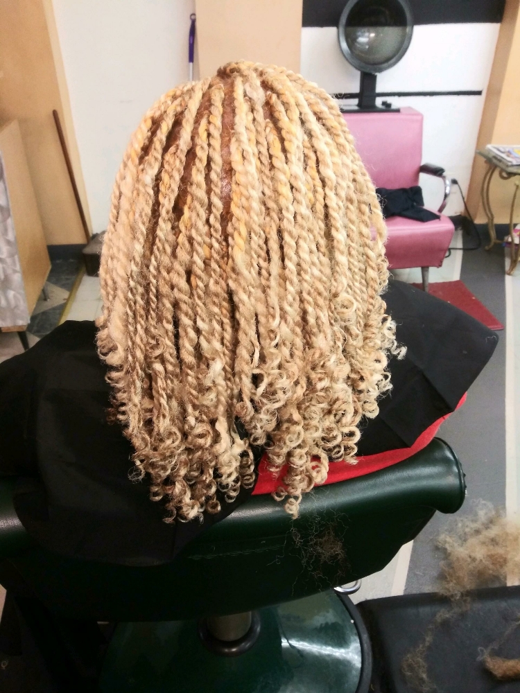 Two Strand Twist Extension