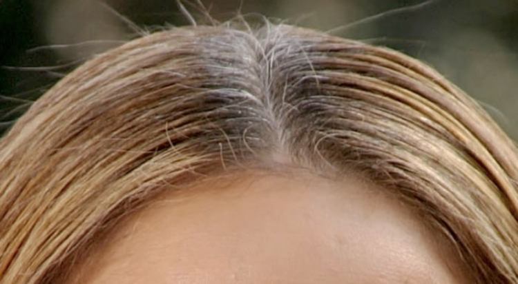 Root Touchup W/out Gloss