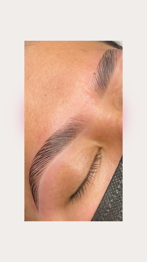 Eyebrow Lamination