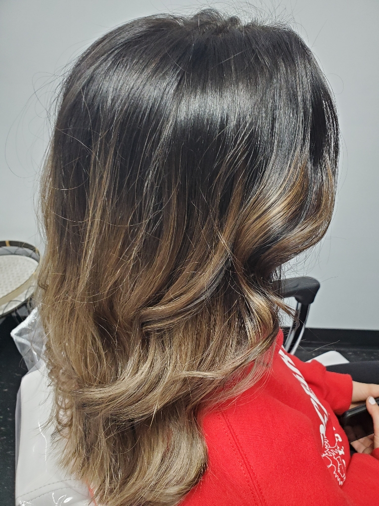 Partial Balayage Session