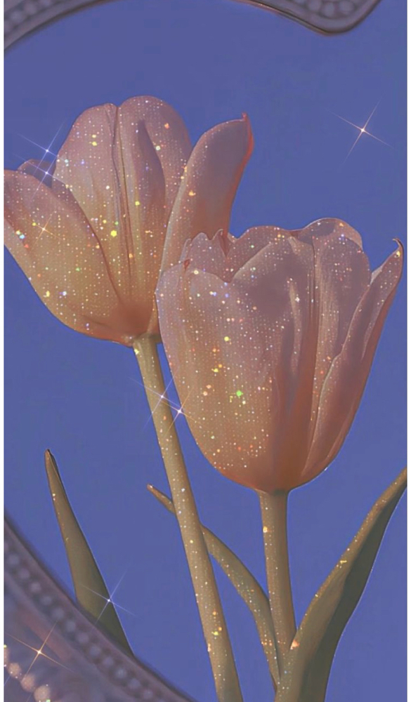 Tip Toe Through The Tulips