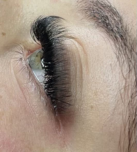 2 Week  Lash Fill