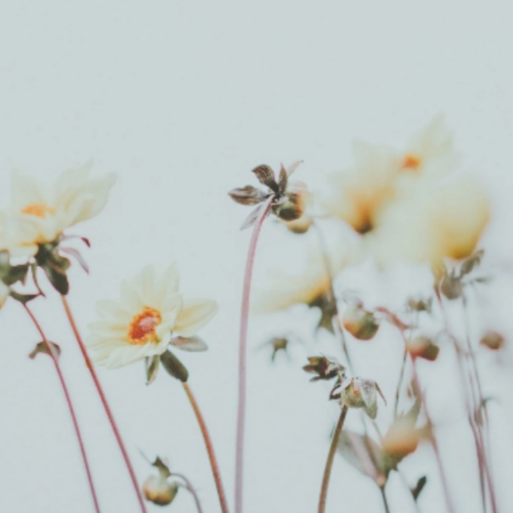 Color Retouch Only -  No Blowdry at Oxford&Mane in Oxford, NC