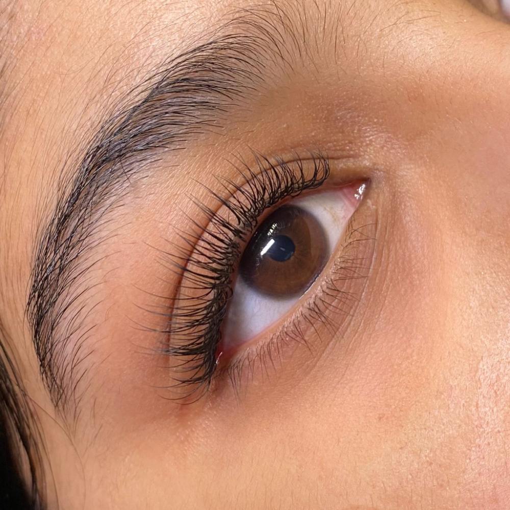Classic Lashes at The Paradise Lash Salon in Wethersfield, CT