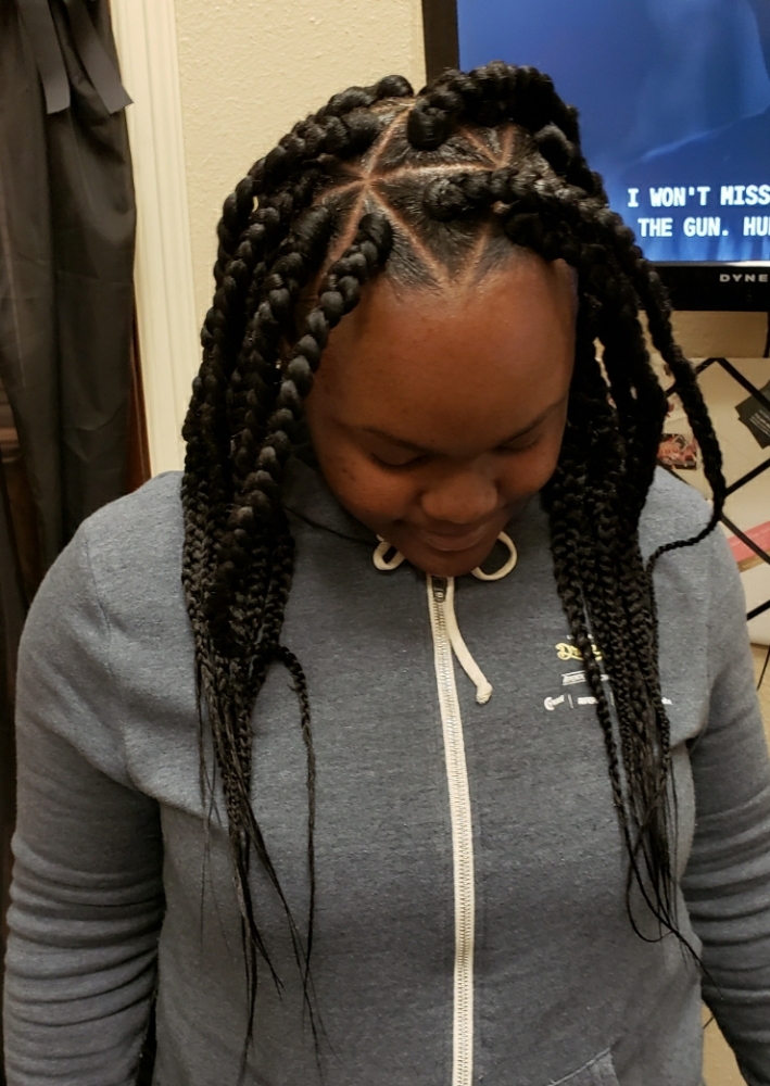 Jumbo Braids/Twists/Mid Back