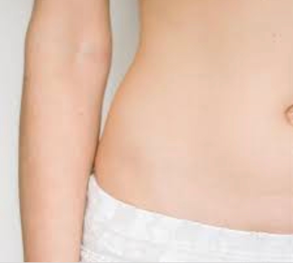 Stomach