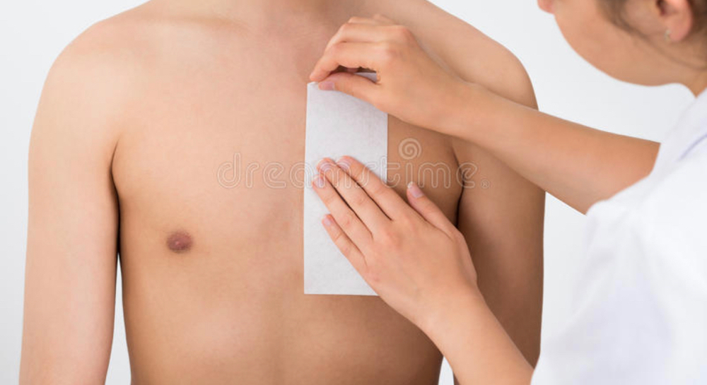 Chest