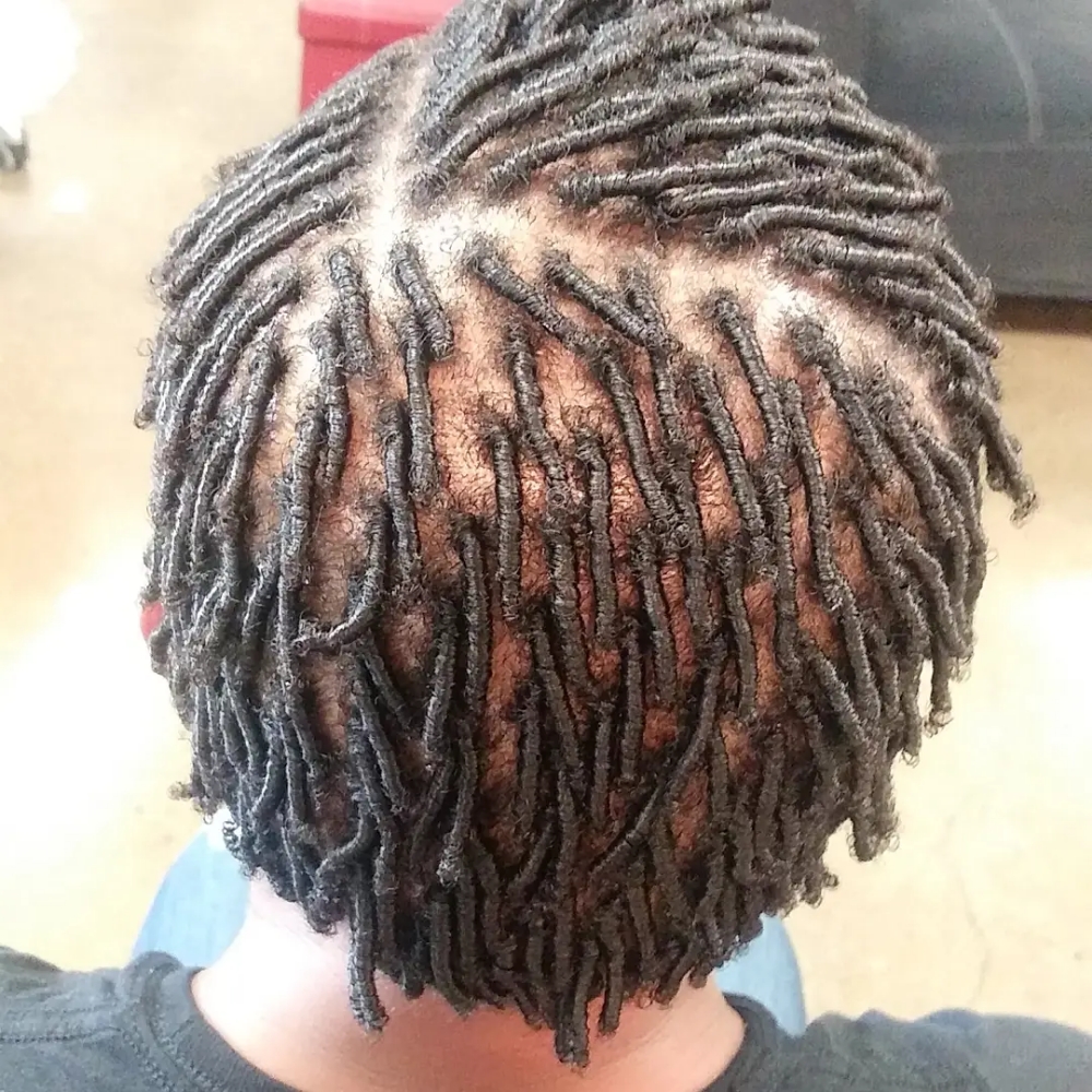 Starter Microloc Coils