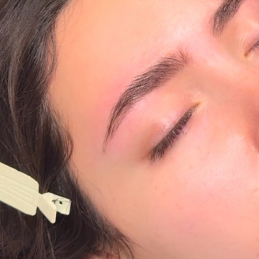 Brow Wax + Hybrid Stain at Elevate by Arline Transformational Skin & Effortless Beauty in Cedar Park, TX