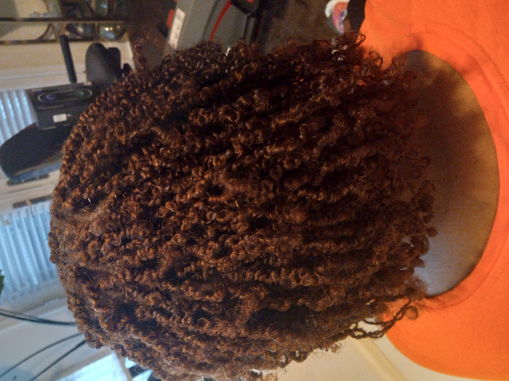 Starter Microloc 2-strand Twists
