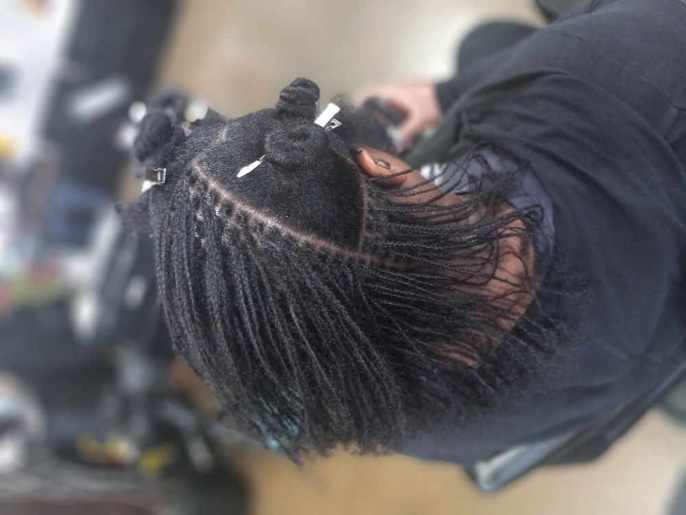 Starter Microloc Braids