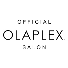 Olaplex Stand Alone Treatment