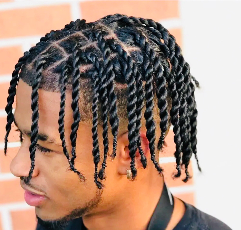 Men 2 Strand Twist