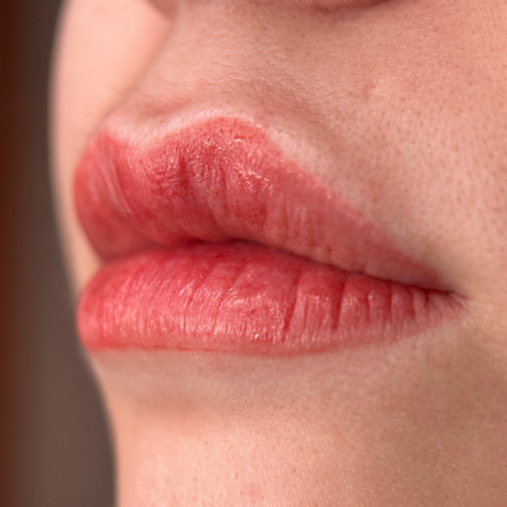 Lip Blush at Blushing Bunny Ink in Cary, NC