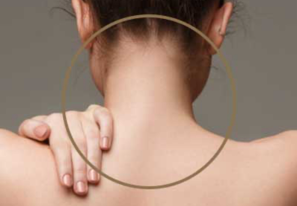 Neck