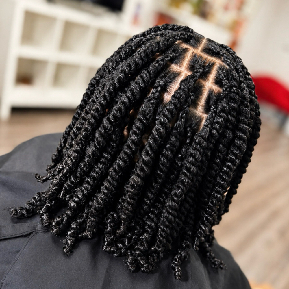 Natural Protective Styling at Millydidit in Houston, TX