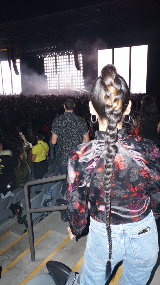 Braided Ponytail