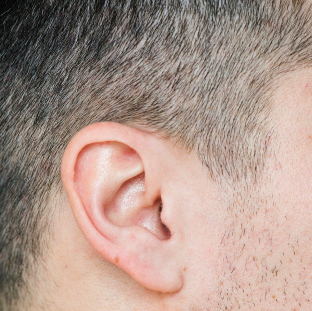 Ears at Gamine Wax Studio in San Diego, CA