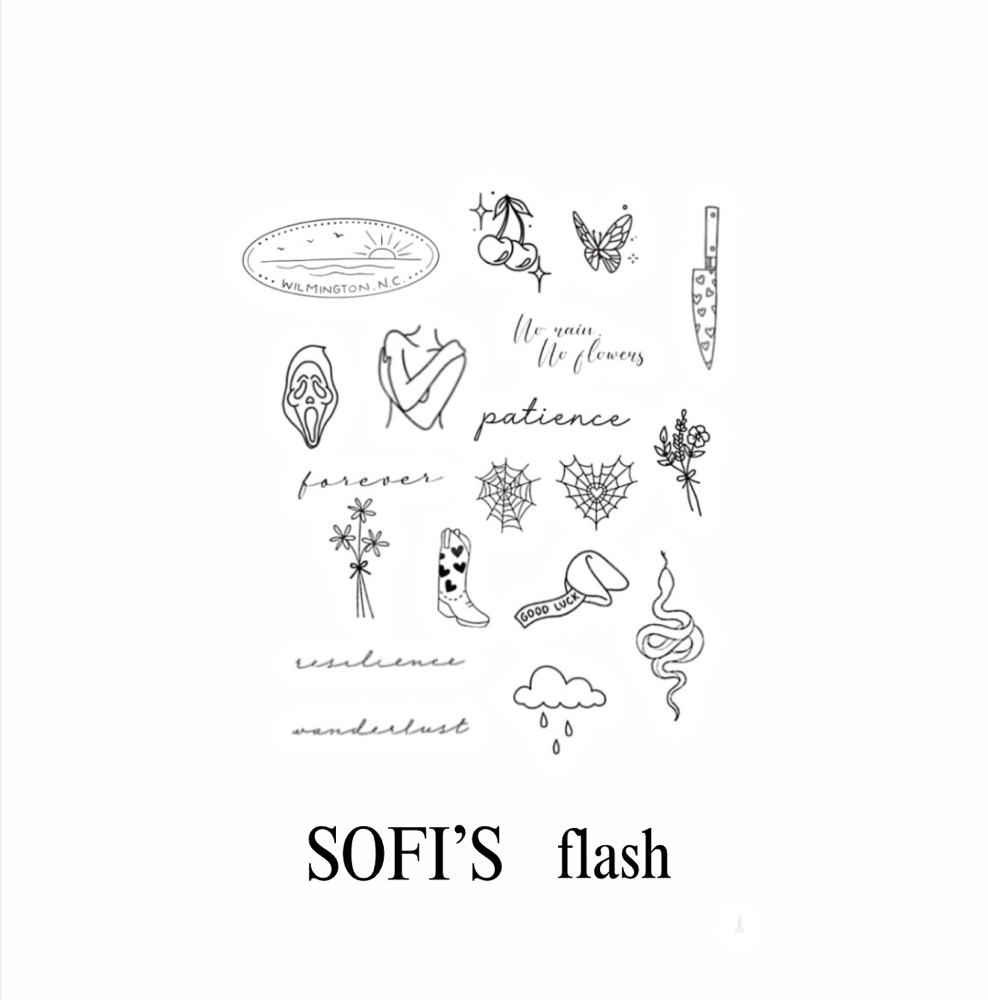 Sofi apprentice Flash Sheet