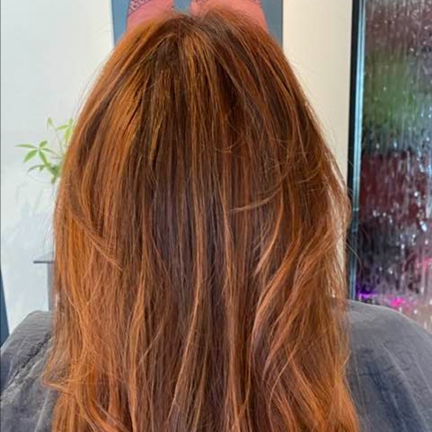 Color All Over & Cut STYLIST at Ritual Hair Design in Hillsboro, OR