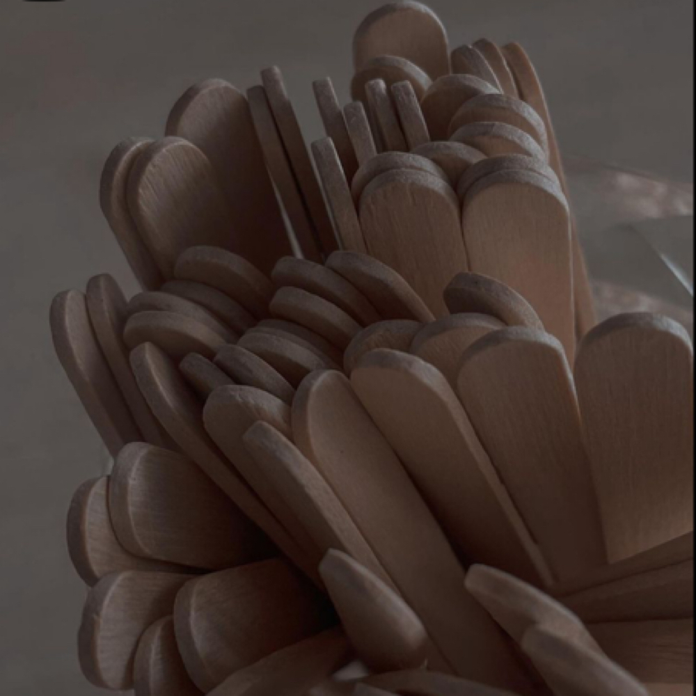 Half Arm at The Beauty Spot in Albuquerque, NM