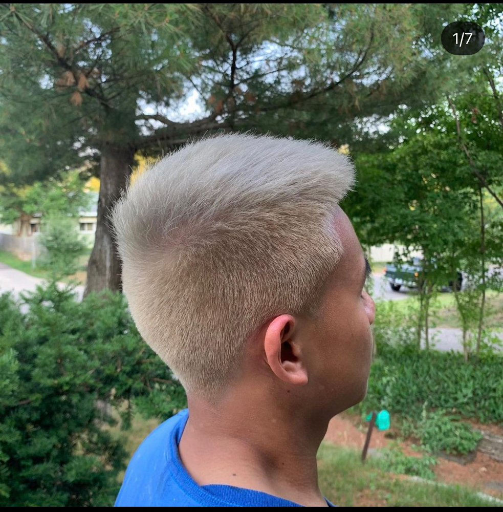 Bleach & Tone Allover Short Hair