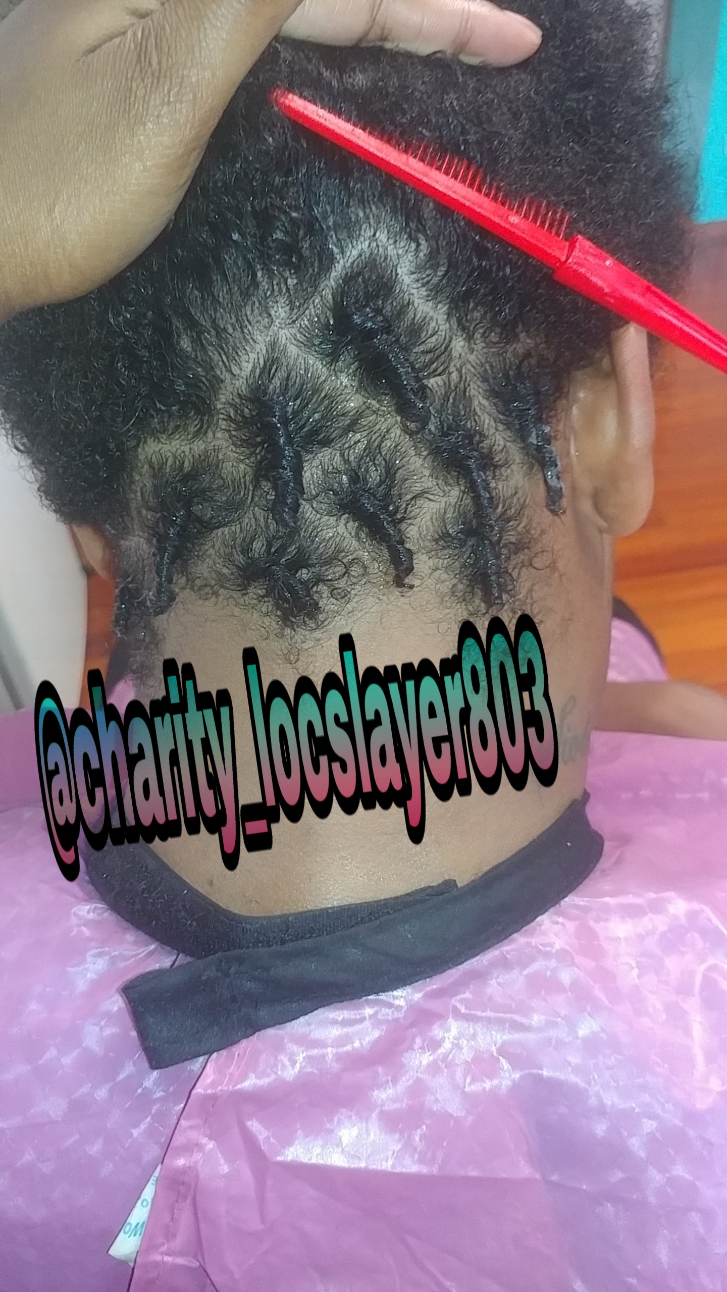 Starter locs ( Under 8in )