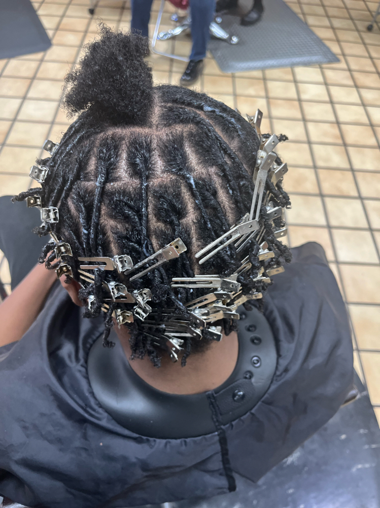 Starter Locs