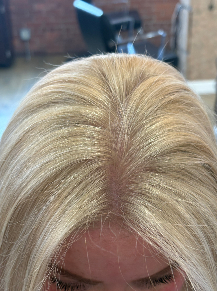 Bleach And Tone at Hair by Crystal Paige in Attleboro, MA