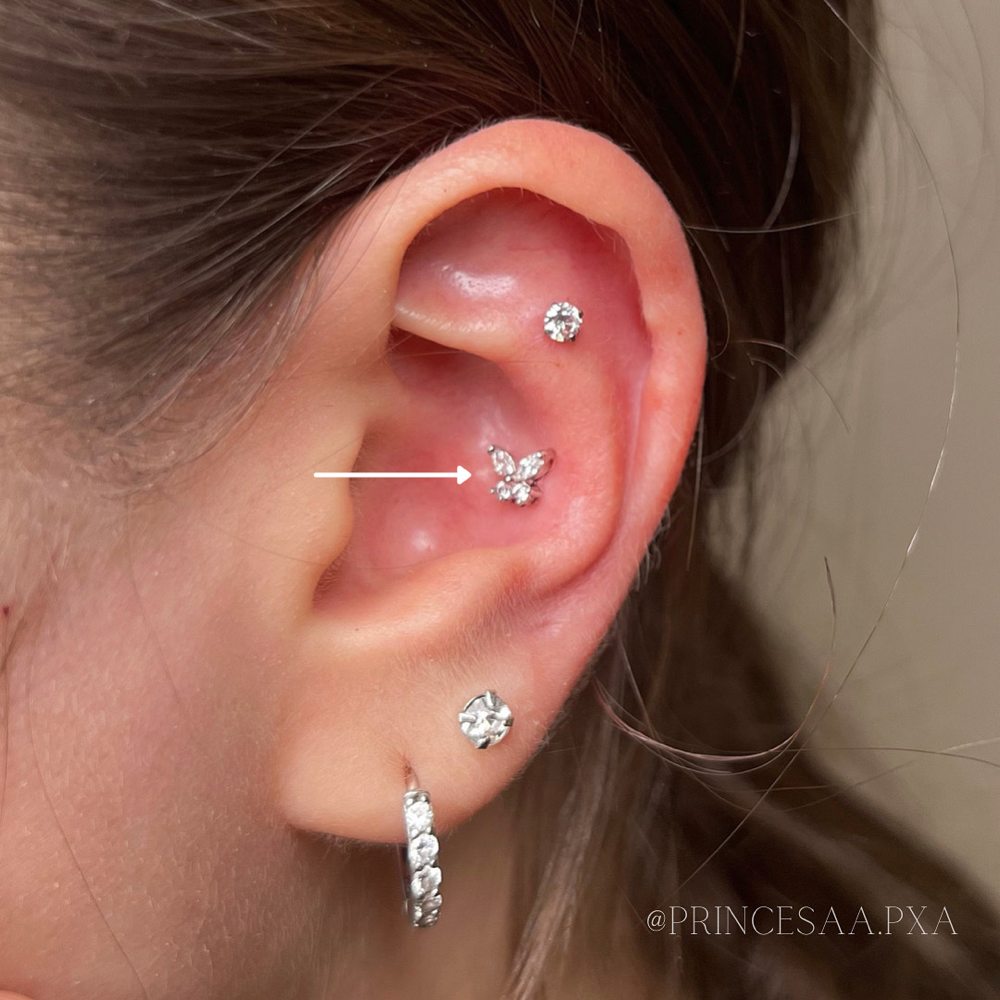 Conch at Princesaa Piercings x Aesthetics in Chandler, AZ