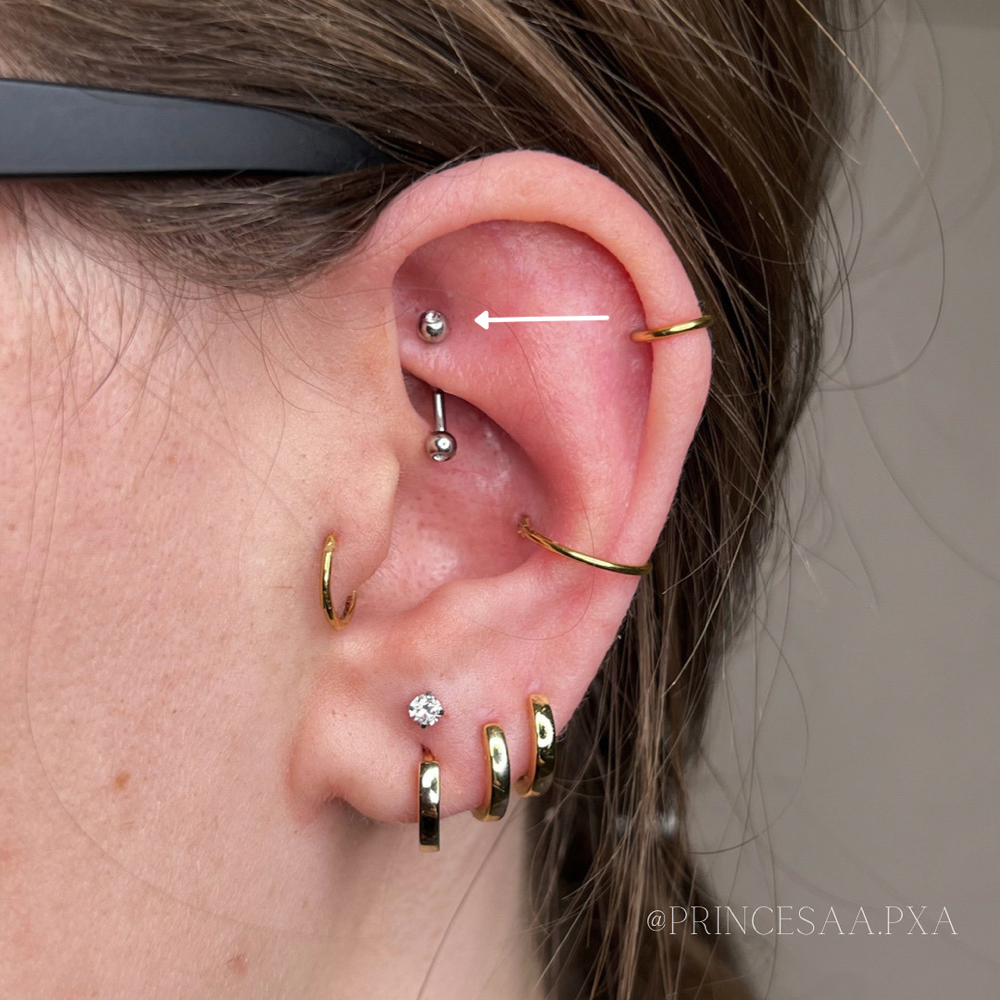 Rook at Princesaa Piercings x Aesthetics in Chandler, AZ