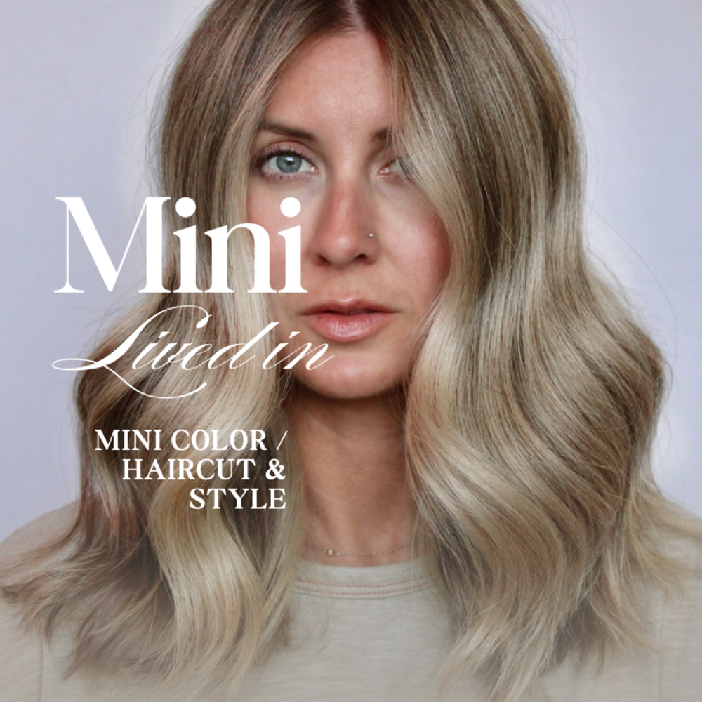 Mini  (10 or less foils) at Mane Creations in Columbia, MD