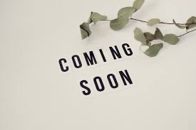 More Options Coming Soon(no Booking