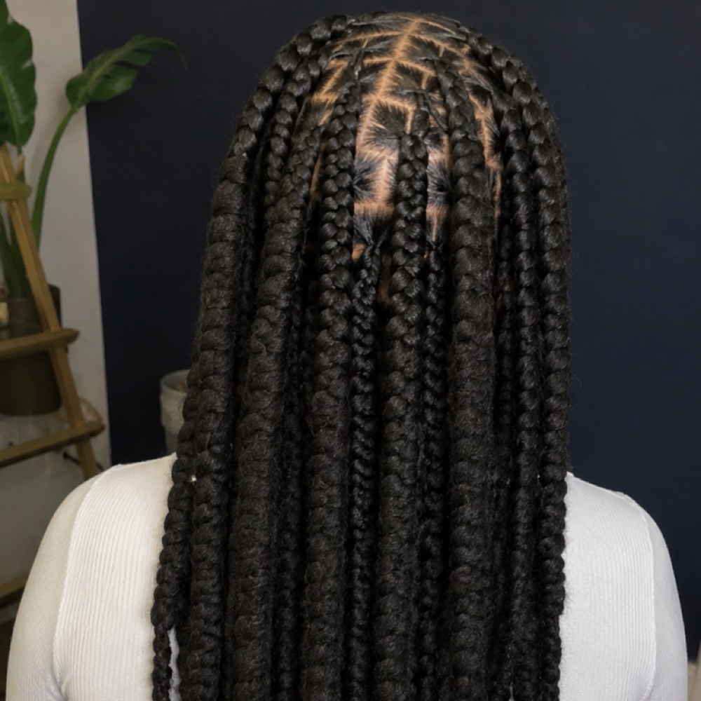 Braids Over Locs Hair Included at Dose Braids in Dallas, TX